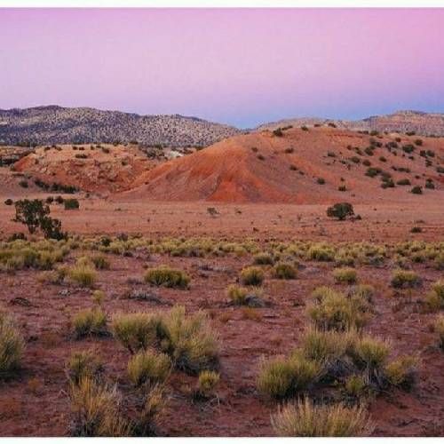  شراب ده ساله خرابتوم امشو بیا به بالینوم که نیبروم شو خو